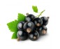 Cassis