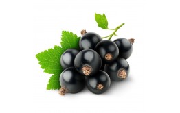 CASSIS 125G