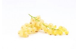 GROSEILLE BLANCHE 250G