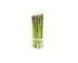 Asperge Verte fine botte France