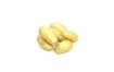 POMME DE TERRE GRENAILLE DELIKATESS