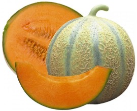 Melon Cavaillon Provence