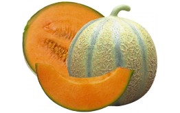 Melon EXTRA