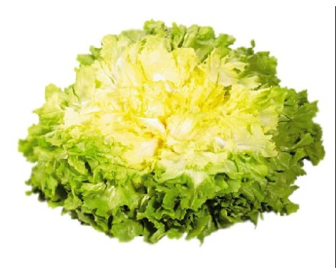 Salade Scarole