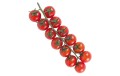 TOMATE CERISE GRAPPE IMPORT