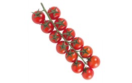 Tomate cerise grappe import