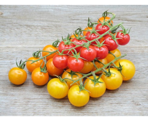 Tomate Cerise Couleur grappe