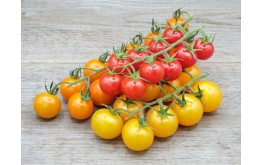 Tomate Cerise Couleur