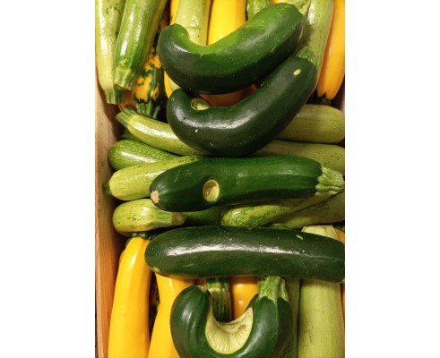 Courgette déclassée