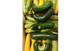 Courgettes déclassées mélange