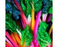 Blette couleur