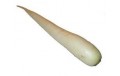NAVET LONG BLANC
