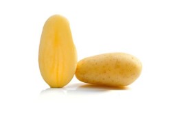 Pomme de terre celtiane en colis