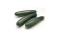 COURGETTE EXTRA