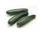 Courgette fine Provence