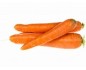 Carotte grosse import