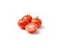 TOMATE MOMOTARO VARIETE JAPONAISE