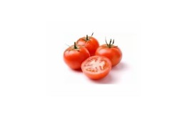 TOMATE MOMOTARO VARIETE JAPONAISE