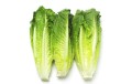 Salade Romaine