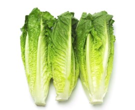 Salade cœur de romaine