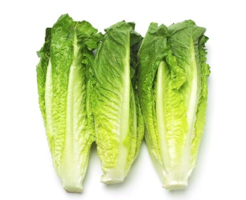 Salade cœur de romaine