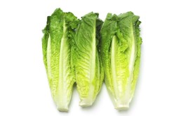 Salade cœur de romaine