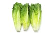 Salade Romaine