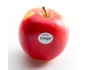Pomme zingy