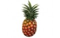 ANANAS GROS PAR AVION