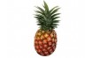 ANANAS GROS PAR AVION