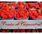Fraise Dely