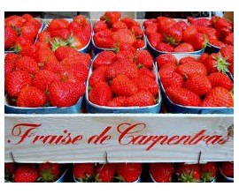 Fraise Dely