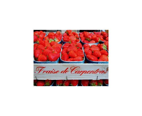 Fraise Dely
