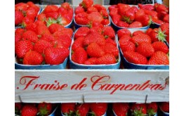 FRAISE CLERY 500g