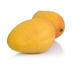 MINI MANGUE SAUVAGE