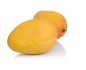 MINI MANGUE SAUVAGE