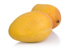 MINI MANGUE SAUVAGE