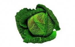 CHOUX VERT FRISE