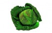 CHOUX VERT FRISE