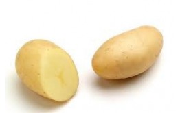 POMME DE TERRE CELTIANE NOUVELLE