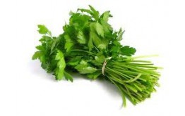PERSIL PLAT