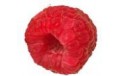 Framboise FRANCE 125g