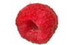 Framboise FRANCE 125g
