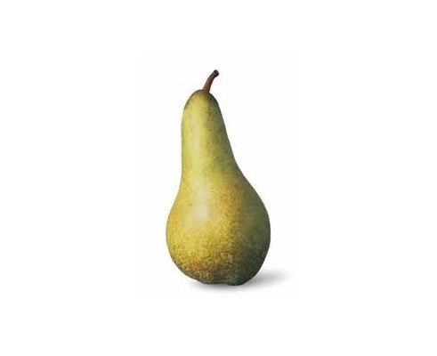 Poire Abatte