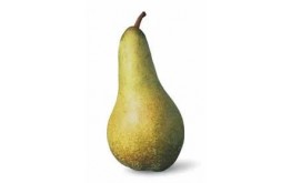 Poire Abate