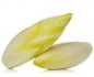 Endive