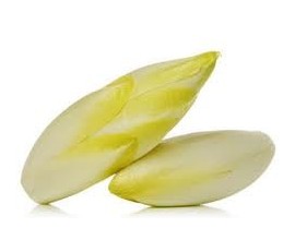 Endive