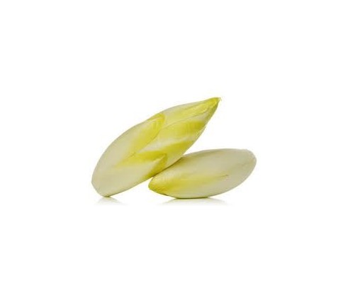 Endive