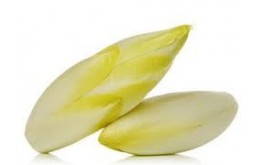 ENDIVE EXTRA