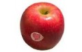 POMME PINK LADY